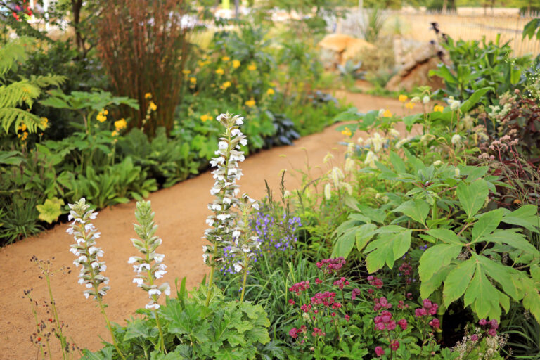 RHS Hampton Court Palace Garden Festival – 3 July 2022