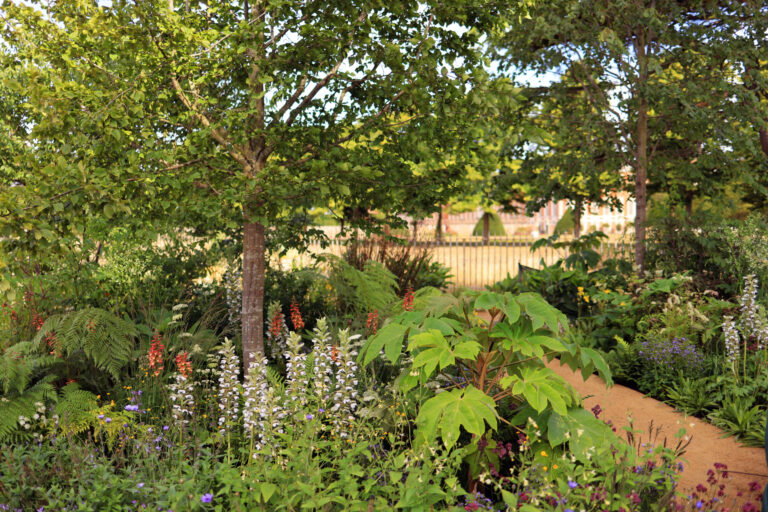 RHS Hampton Court Palace Garden Festival – 3 July 2022