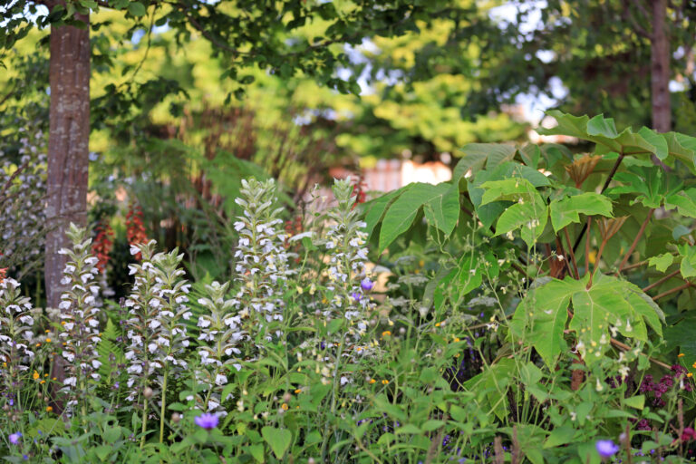 RHS Hampton Court Palace Garden Festival – 3 July 2022