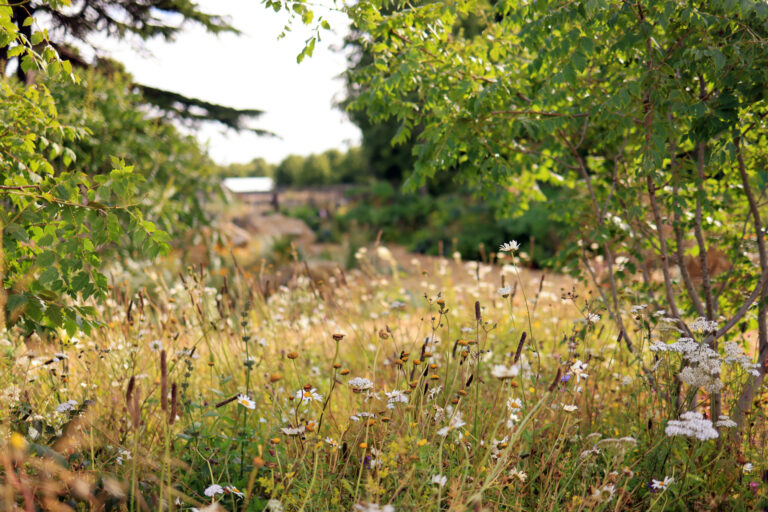 RHS Hampton Court Palace Garden Festival – 3 July 2022