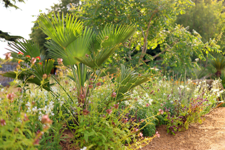 RHS Hampton Court Palace Garden Festival – 3 July 2022