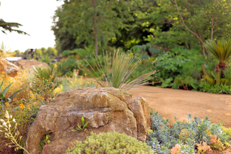 RHS Hampton Court Palace Garden Festival – 3 July 2022