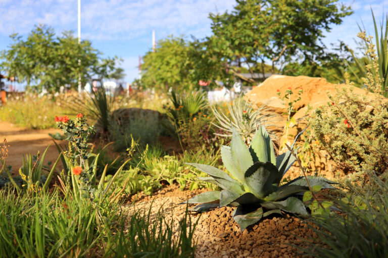 RHS Hampton Court Palace Garden Festival – 3 July 2022