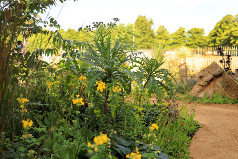 RHS Hampton Court Palace Garden Festival – 3 July 2022
