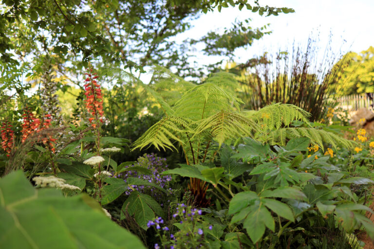 RHS Hampton Court Palace Garden Festival – 3 July 2022
