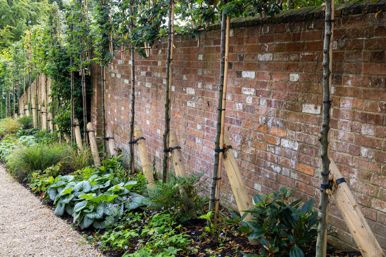 Walling photo 1